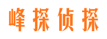 下城侦探公司